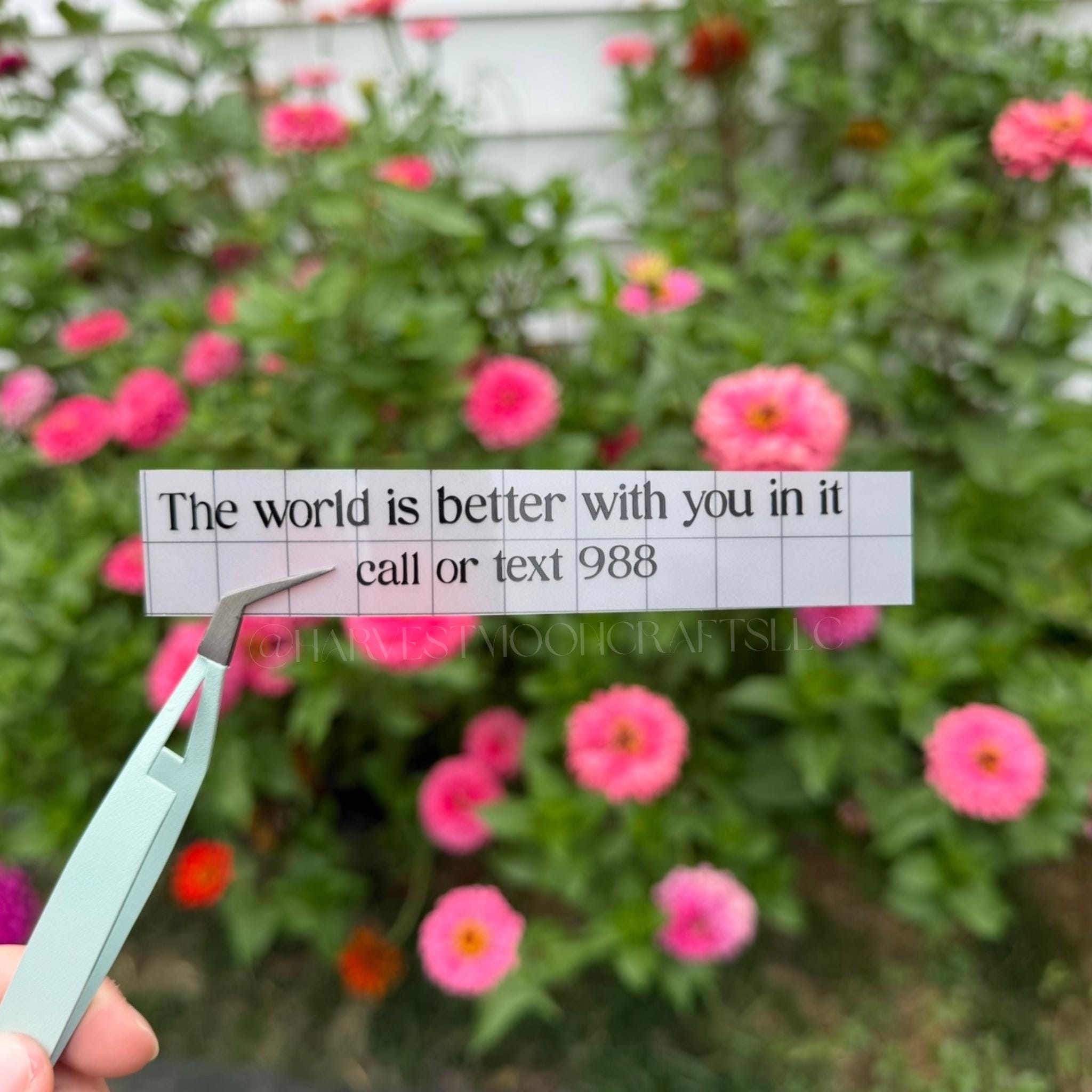 The World Is Better With You In It Vinyl Car Decal