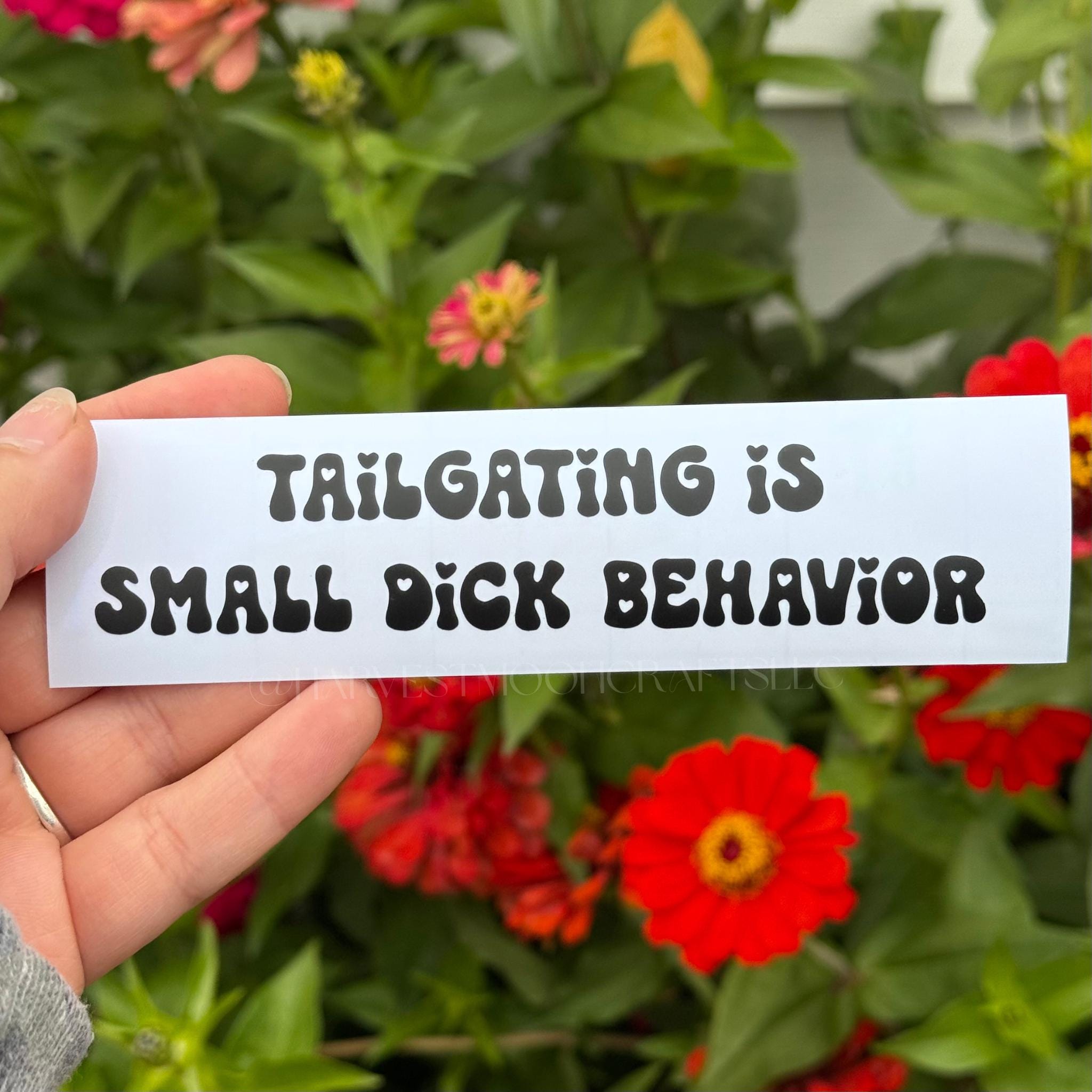 Tailgating Is Small D*ck Behavior Decal | Funny Bumper Sticker | Anti Tailgating Car Decal | Humorous Vinyl Sticker | Road Rage Humor Gift