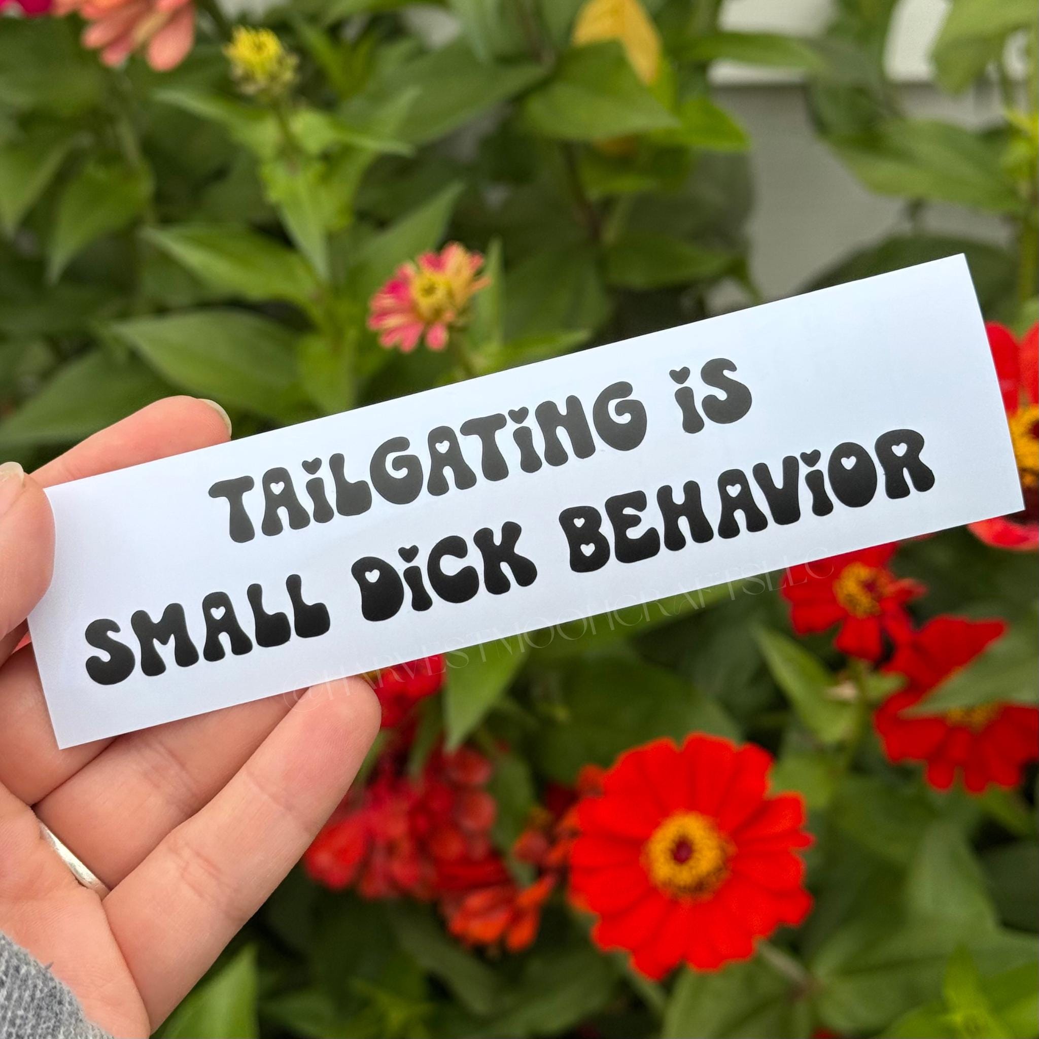 Tailgating Is Small D*ck Behavior Decal | Funny Bumper Sticker | Anti Tailgating Car Decal | Humorous Vinyl Sticker | Road Rage Humor Gift